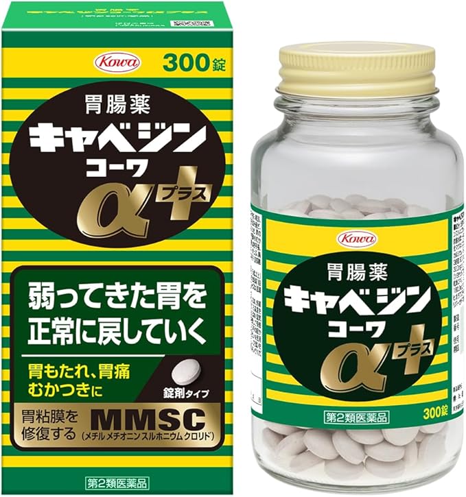 카베진 코와 위장약